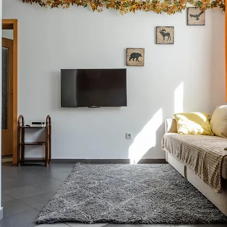 Location In Center Appartement